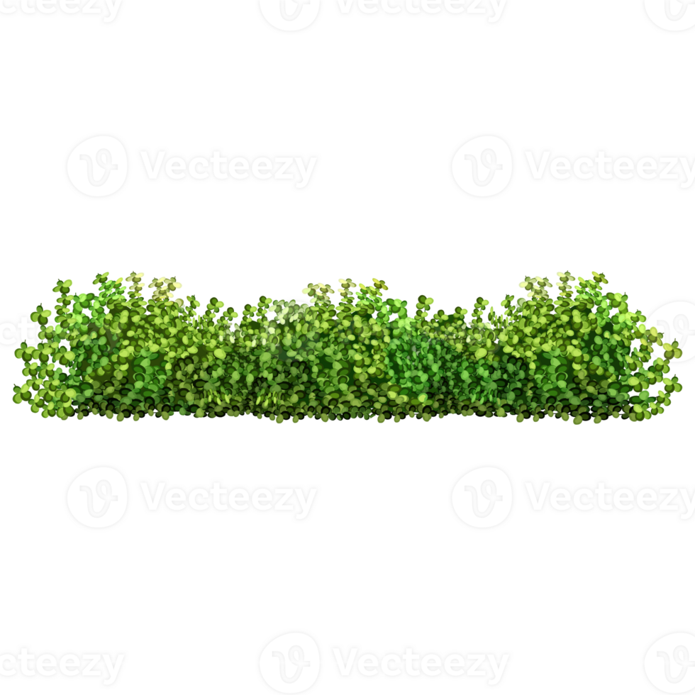 Green bush and tree for landscape and architecture drawing, elements for environment and garden,botanical elements for section in spring. png