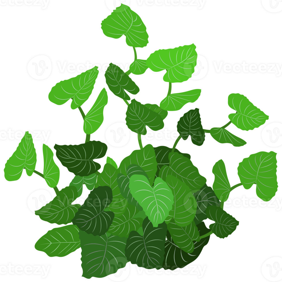 Green bush and tree for landscape and architecture drawing, elements for environment and garden,botanical elements for section in spring. png