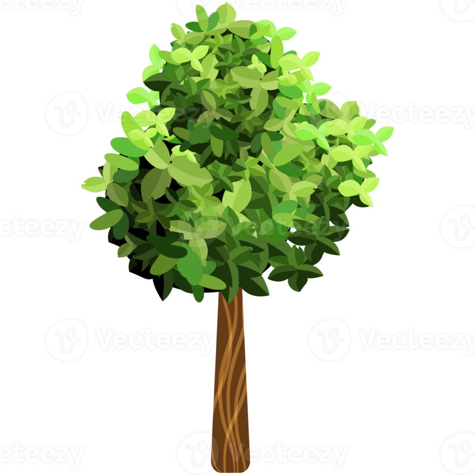 Green bush and tree for landscape and architecture drawing, elements for environment and garden,botanical elements for section in spring. png