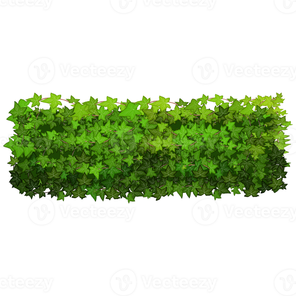 Green bush and tree for landscape and architecture drawing, elements for environment and garden,botanical elements for section in spring. png