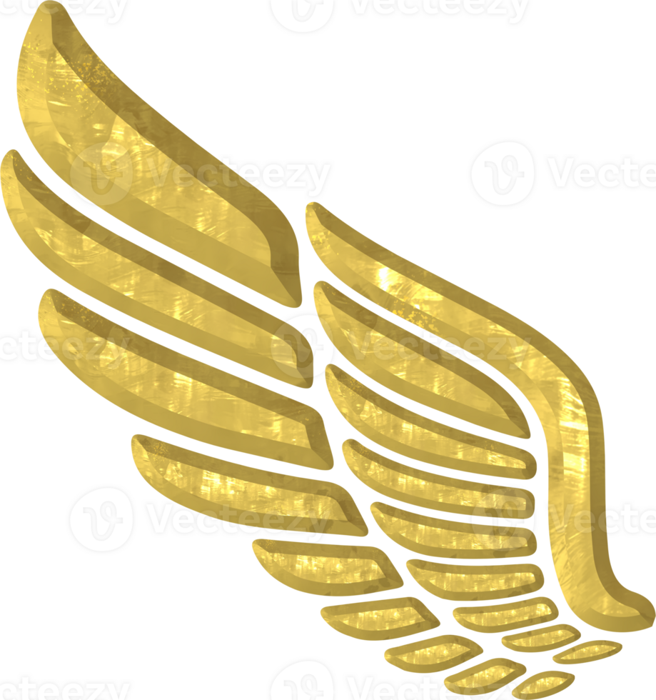 gouden vleugel illustratie png