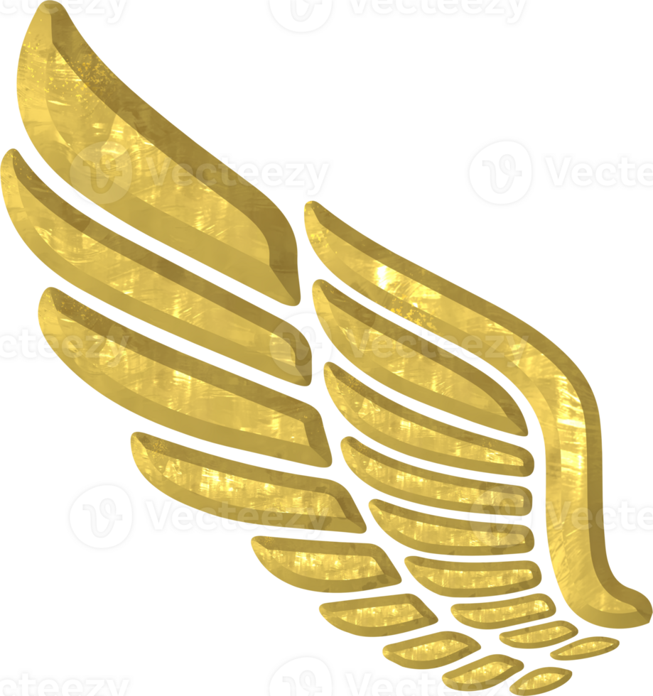 d'oro ala illustrazione png