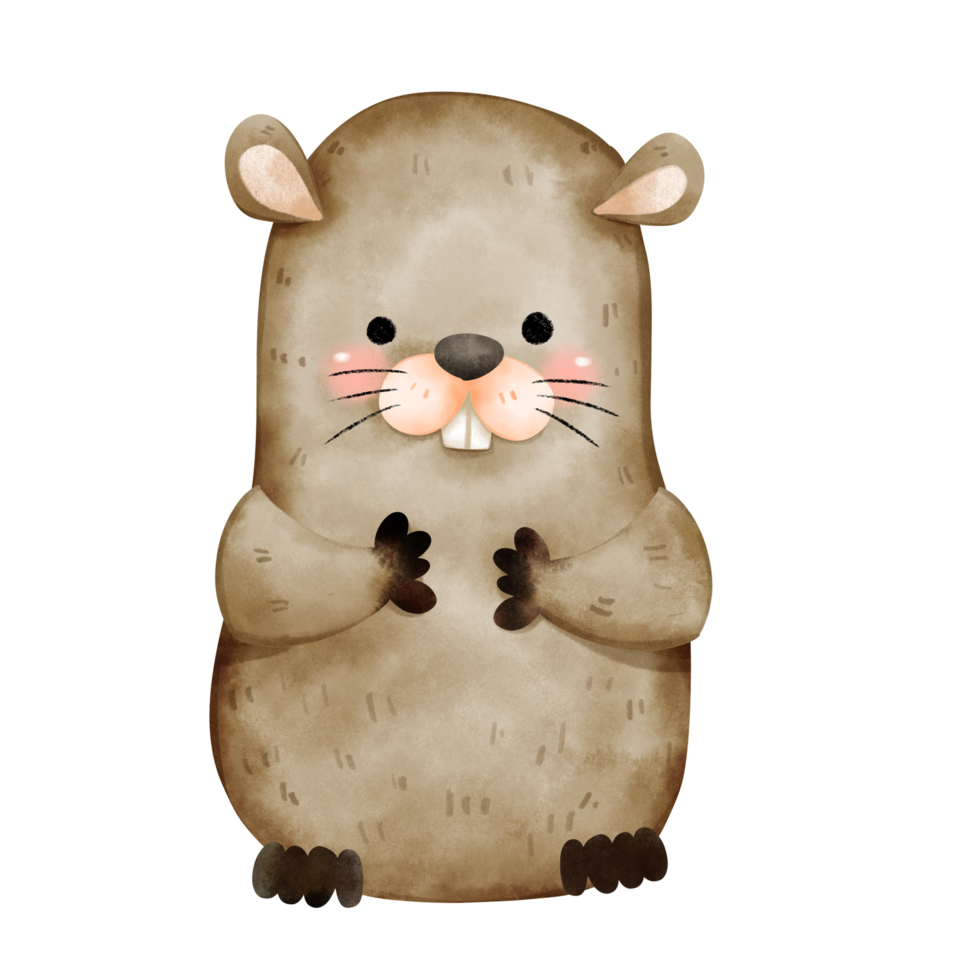 Groundhog in cute watercolor illustration style png