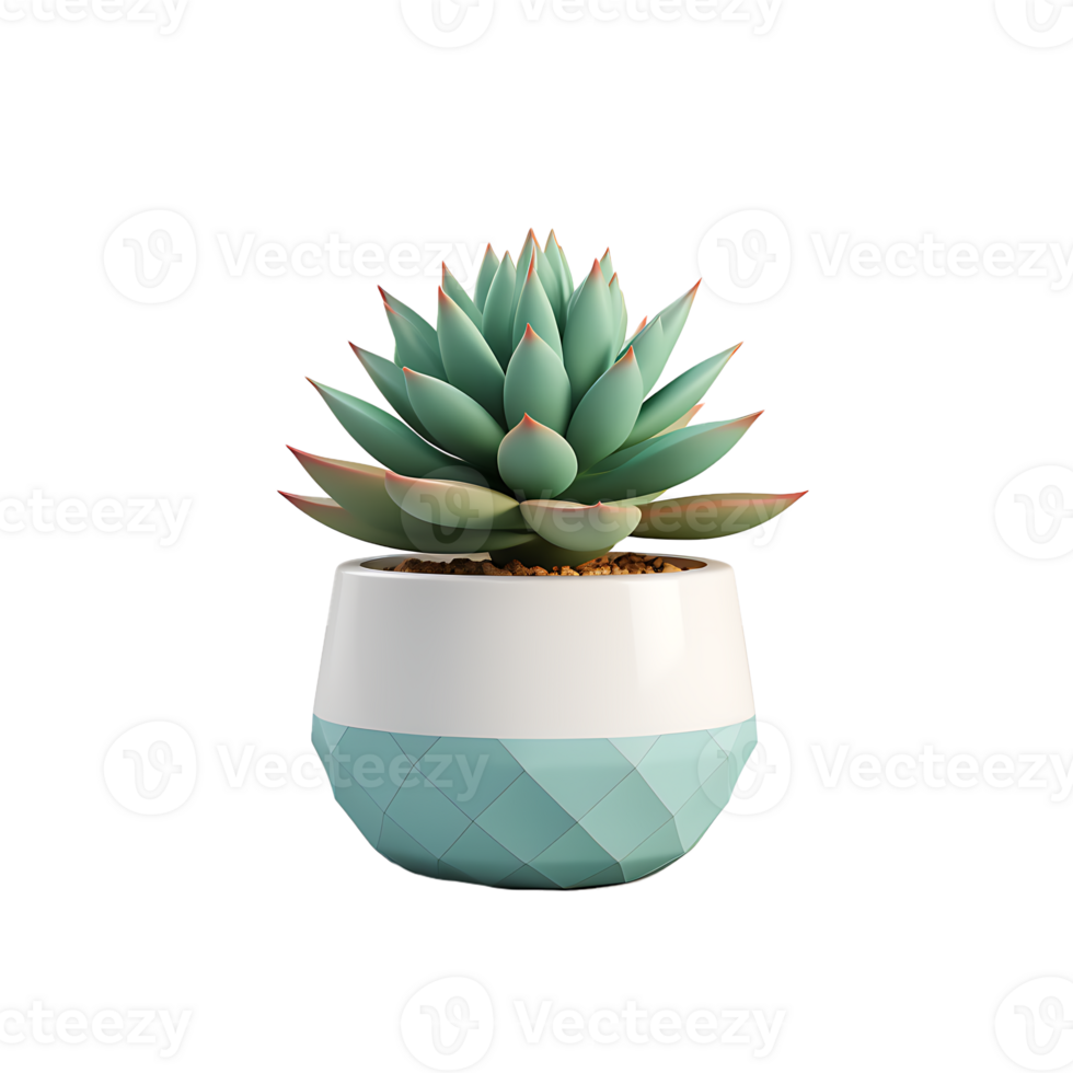 AI generated 3D Succulent Plant Isolated on Transparent Background png
