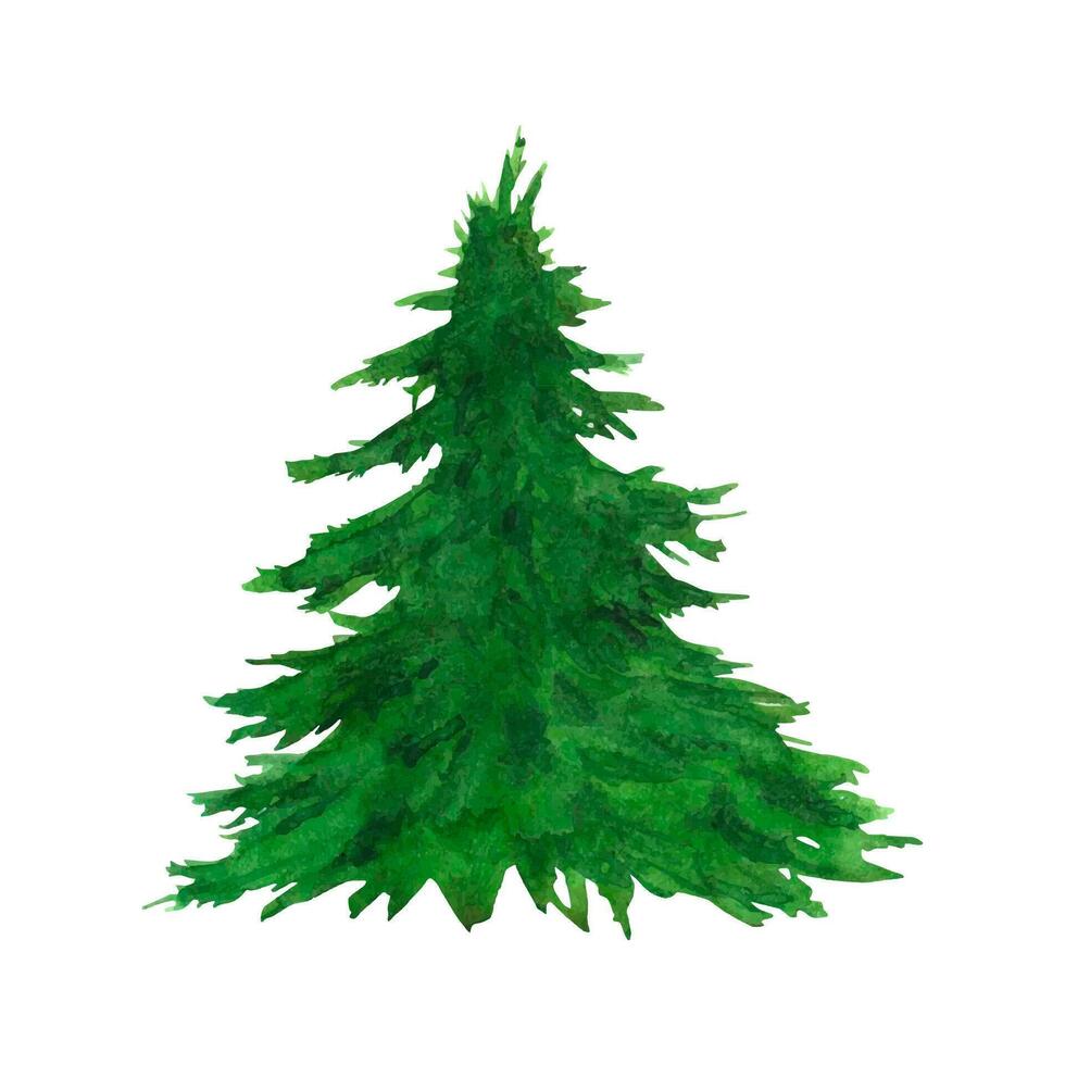 acuarela ilustración Navidad árbol. vector. invierno fiesta acortar arte, hojas perennes pino. Navidad y nuevo año verde conífera planta elementos aislado en blanco antecedentes vector