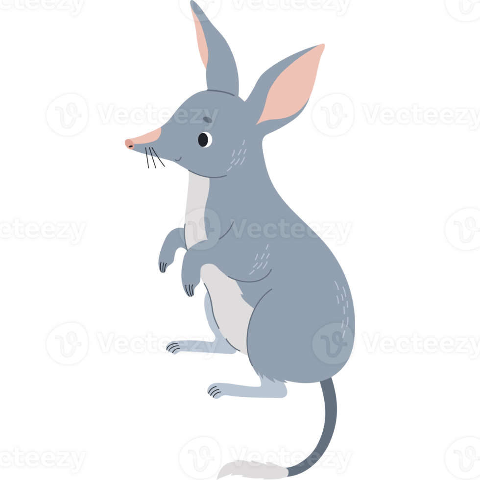 linda bilby animal png