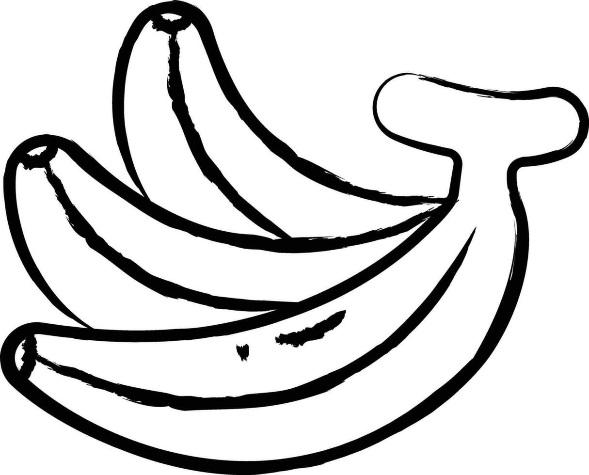 Banana hand drawn vector illustration