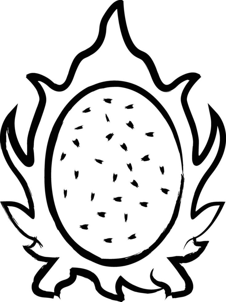 Dragon fruit hand drawn vector illustration