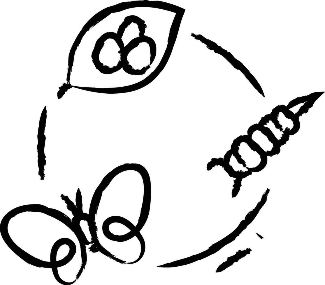 Life cycle hand drawn vector illustration