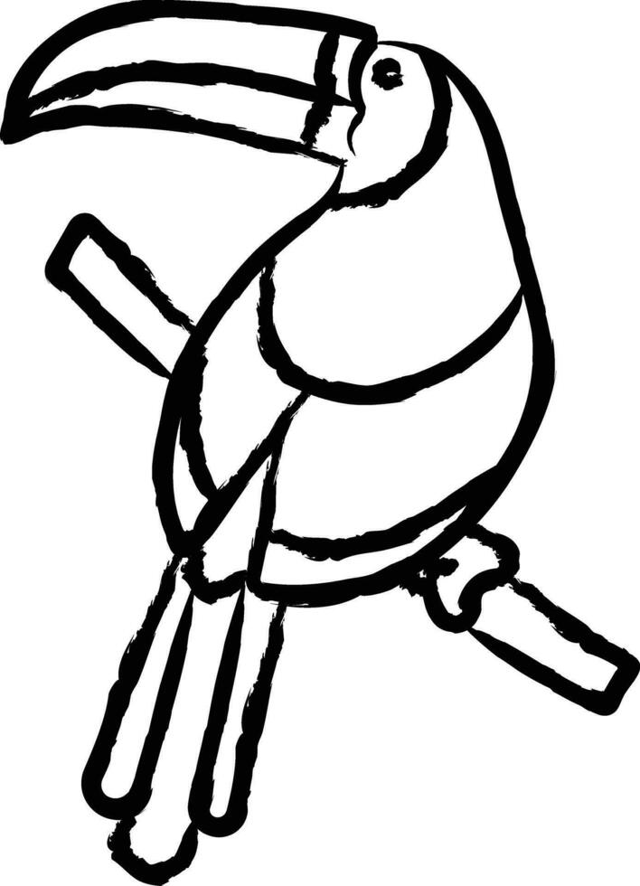 Toucan hand drawn vector illustration