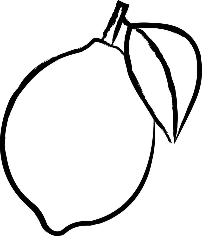 Lemon hand drawn vector illustration