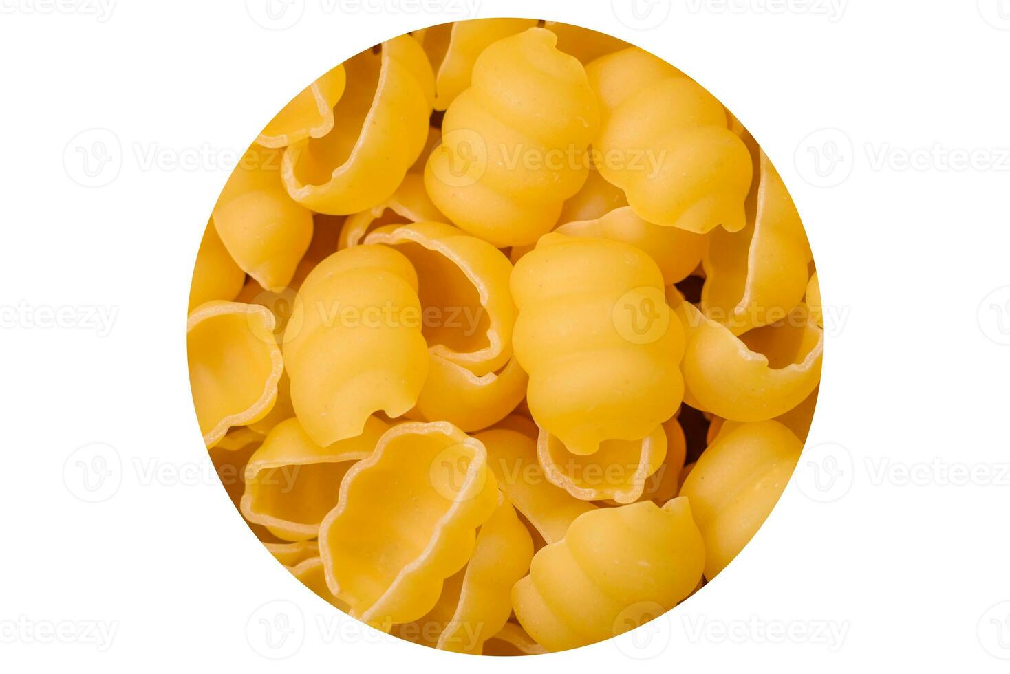 Raw durum wheat gnocchi pasta with salt and spices in a ceramic plate photo