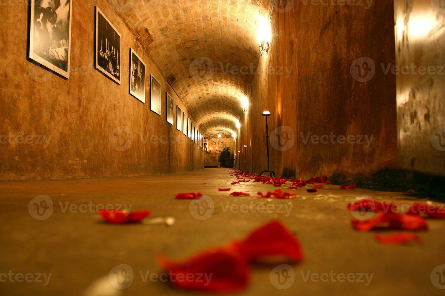 Romantic tunnel with petals scattered photo
