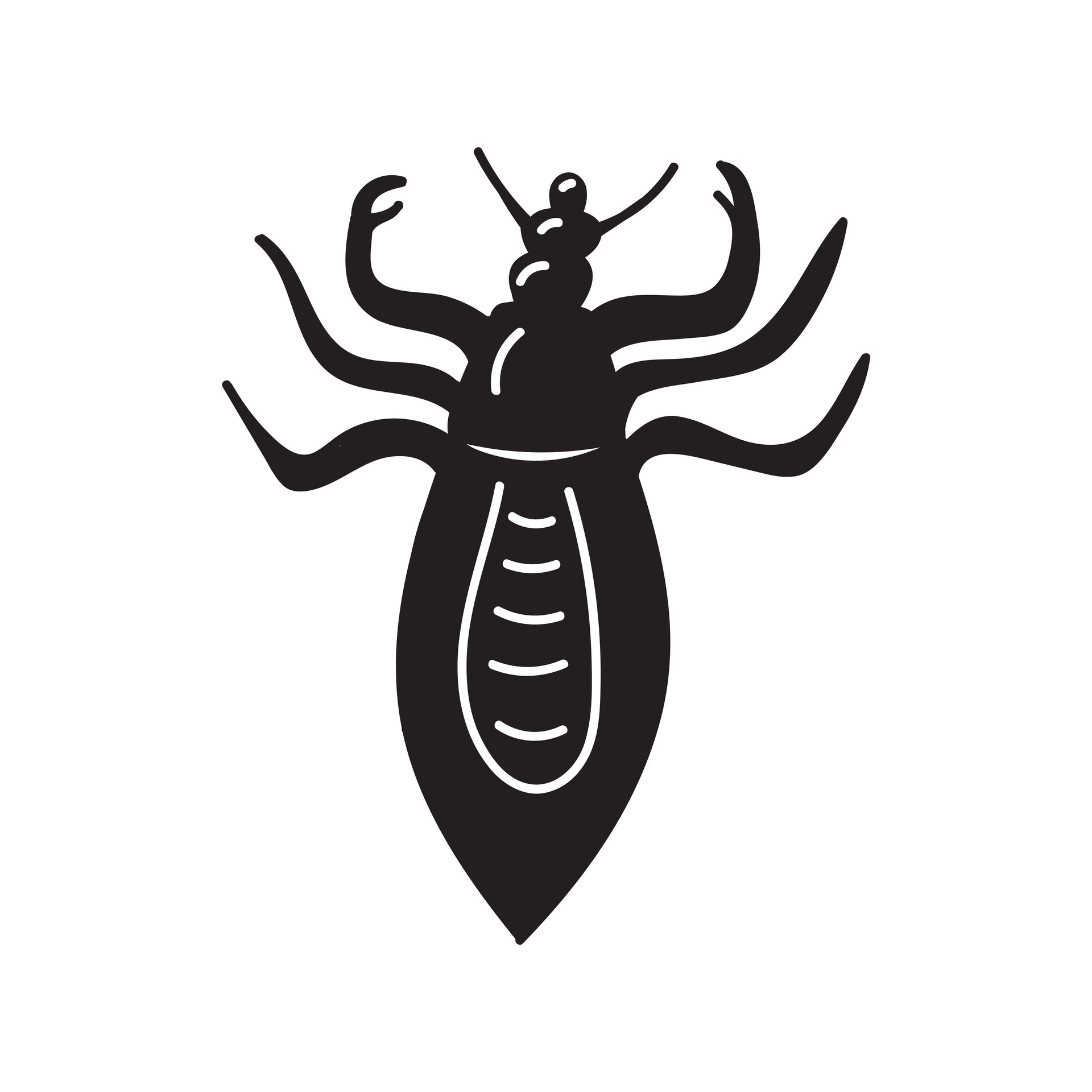 head lice or Pediculus humanus capitis. Black and white vector illustration in flat style