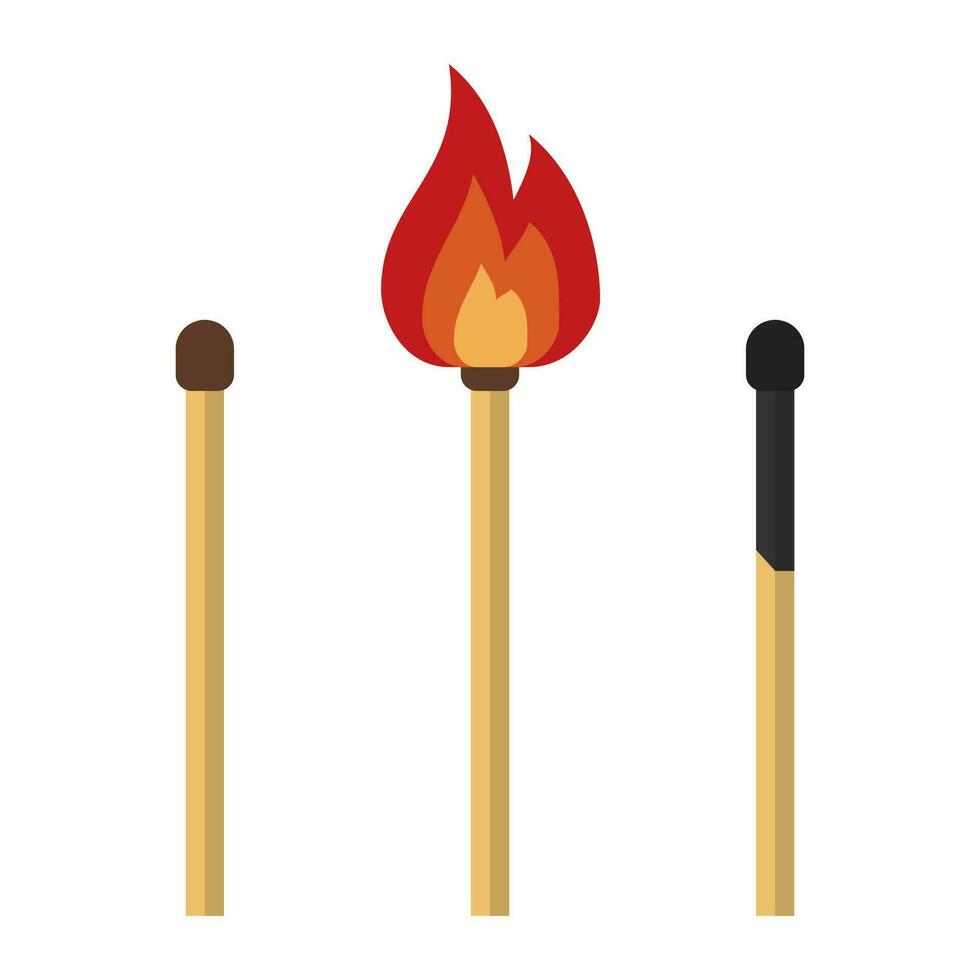 Matches, lighted match and burned match isolated on white background. Vector illustration