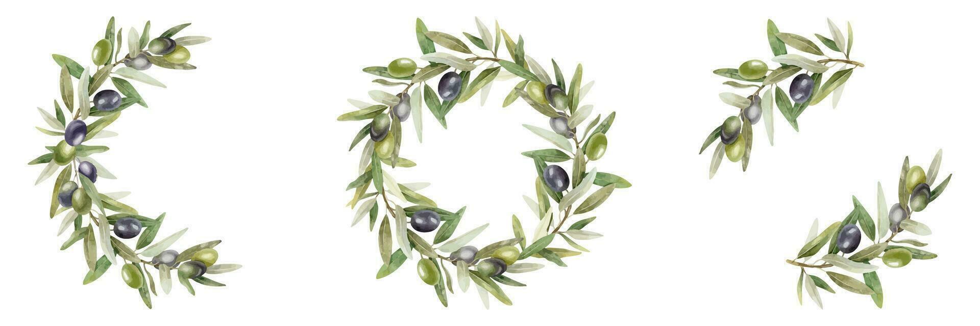 Olive branches, leaves and fruits. Set frames of branches olive tree. Wreath and templates. Watercolor illustrations. For menu, packaging design, wedding invitation, save the date or greeting card. vector