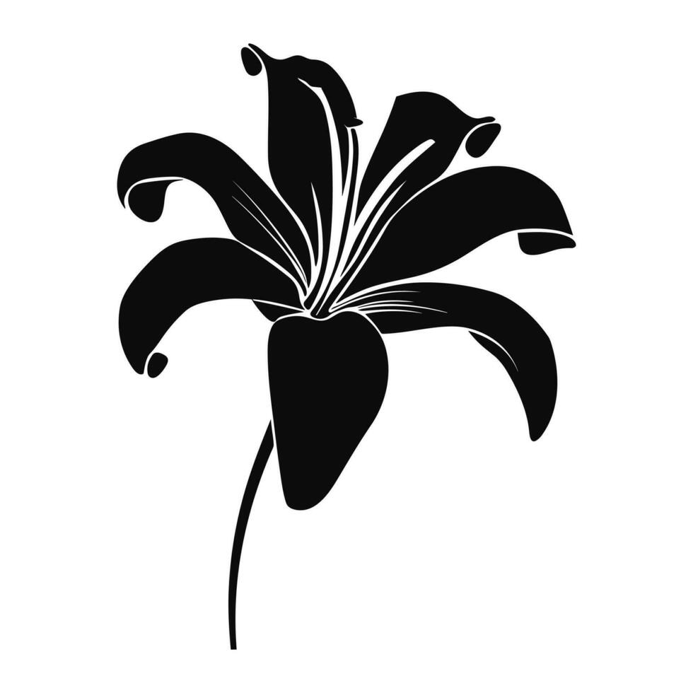 A Lily Flower Vector Silhouette isolated on a white background