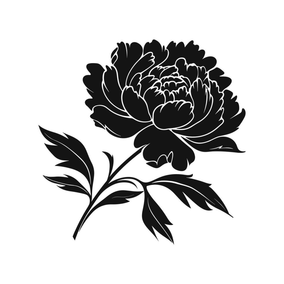 A Peony Flower Vector Silhouette isolated on a white background