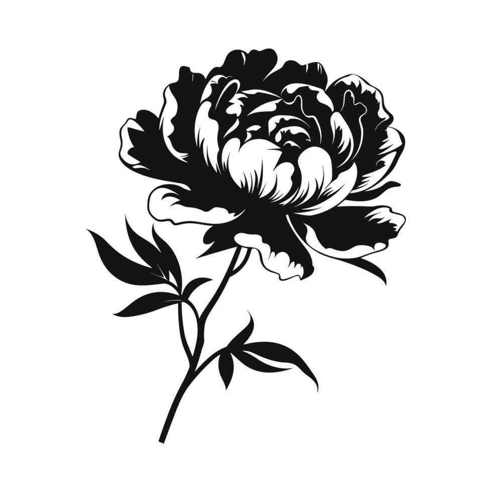 A Peony Flower Vector Silhouette isolated on a white background