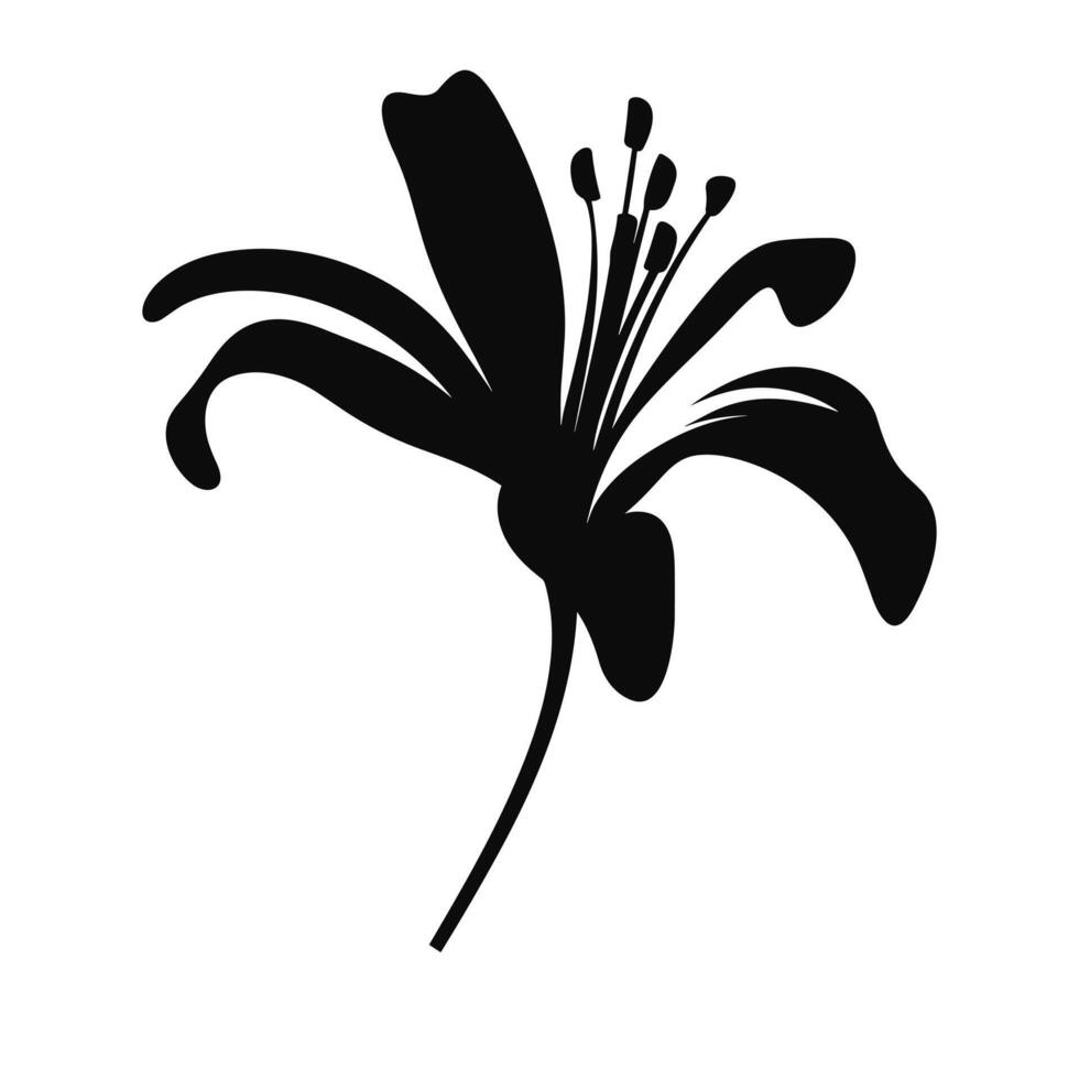 A Lily Flower Vector Silhouette free 35506350 Vector Art at Vecteezy