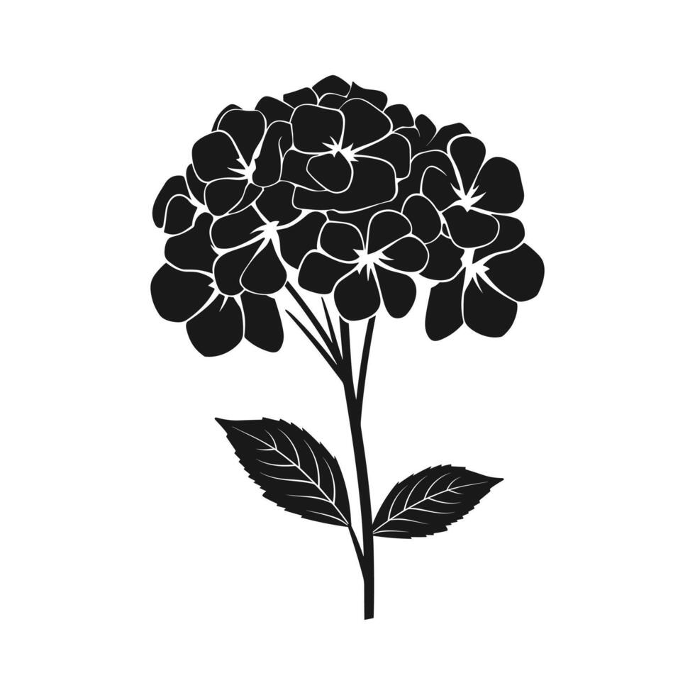 A Hydrangea Flower Vector Silhouette free