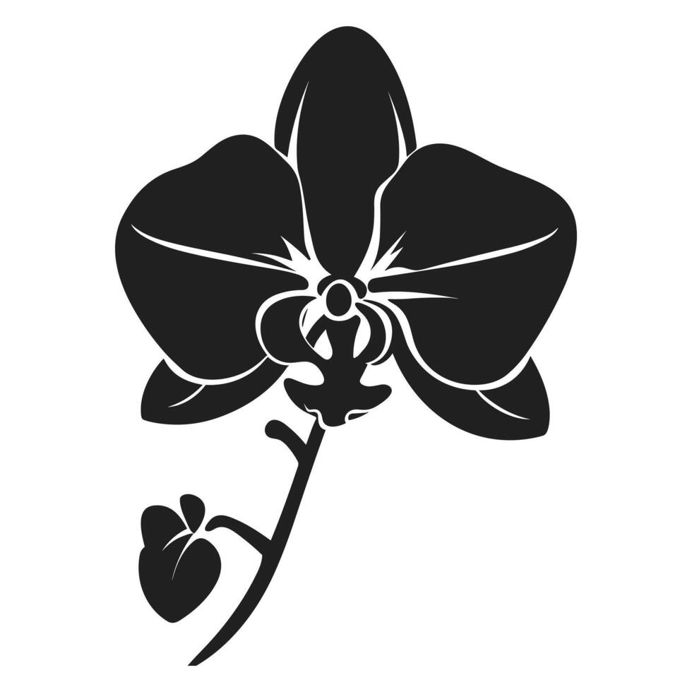 A Orchid Flower Vector Silhouette isolated on a white background