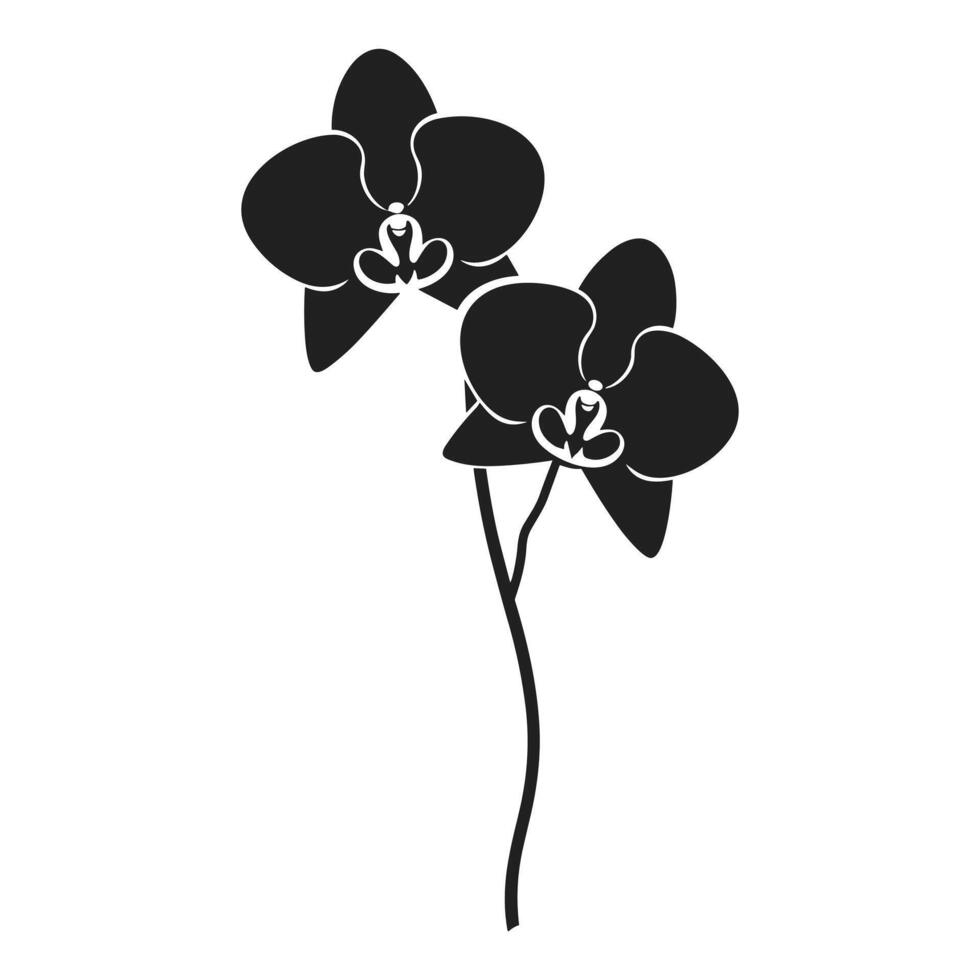 A Orchid Flower Vector Silhouette isolated on a white background