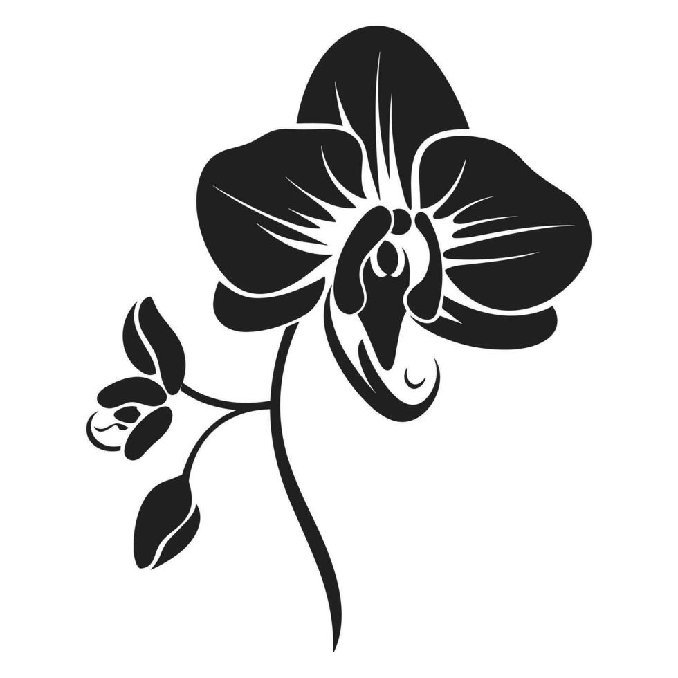 A Orchid Flower Vector Silhouette isolated on a white background