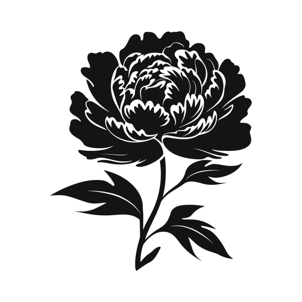 A Peony Flower Vector Silhouette isolated on a white background