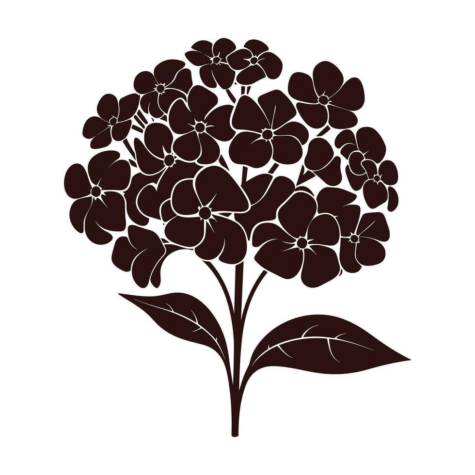 A Hydrangea Flower Vector Silhouette isolated on a white background