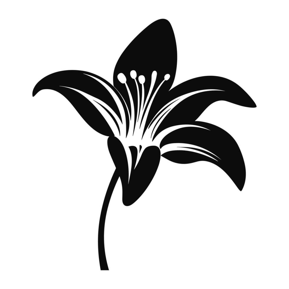 A Lily Flower Vector Silhouette isolated on a white background