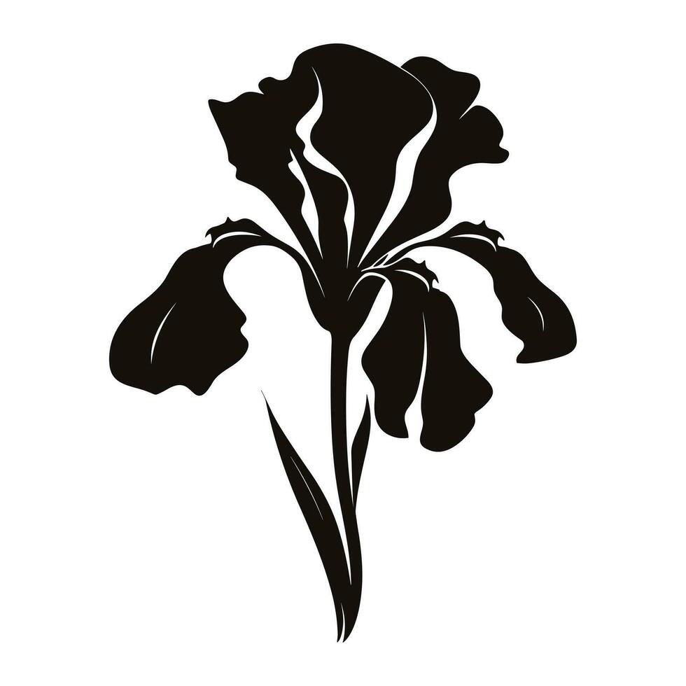 An Iris Flower Vector Silhouette isolated on a white background