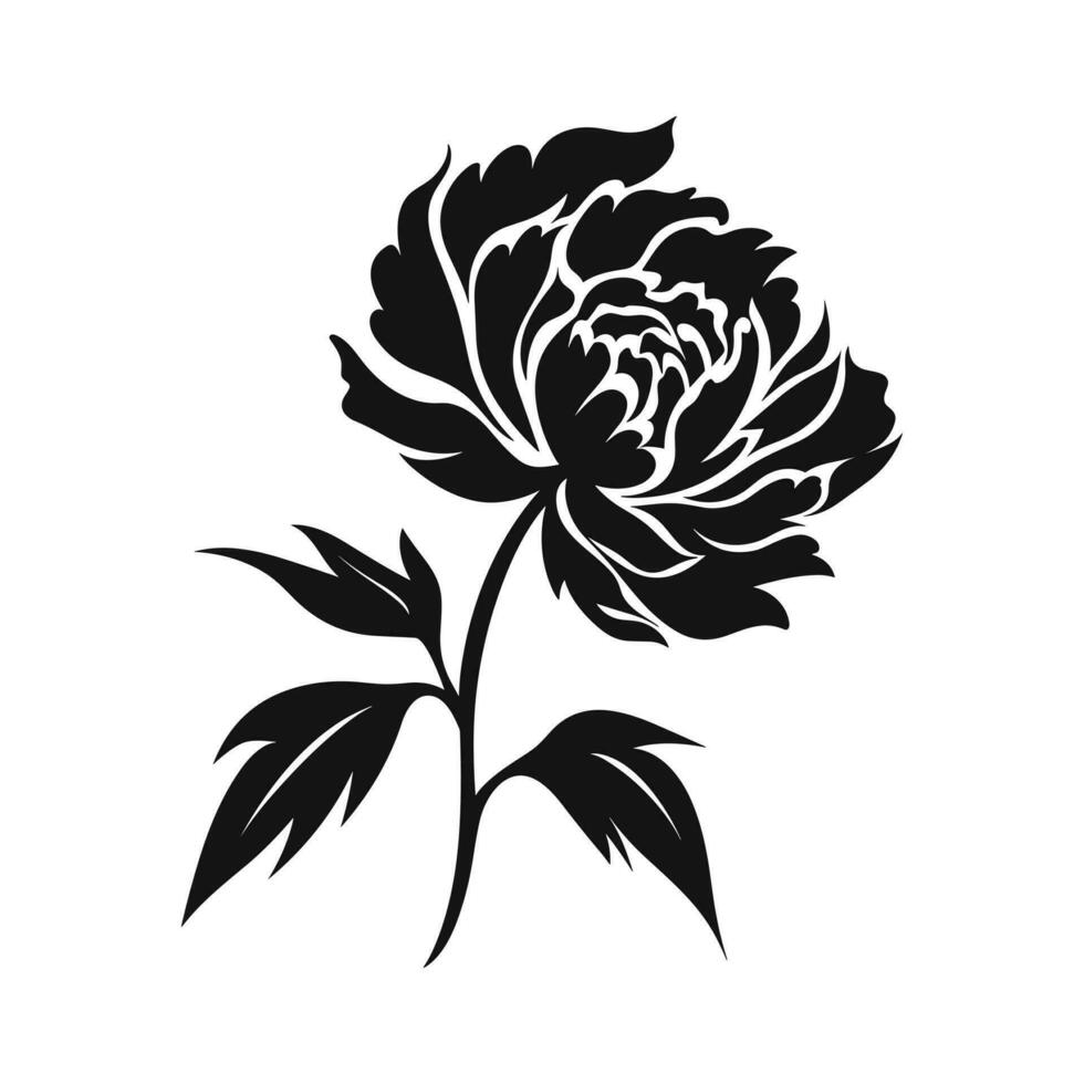 A Peony Flower Vector Silhouette isolated on a white background