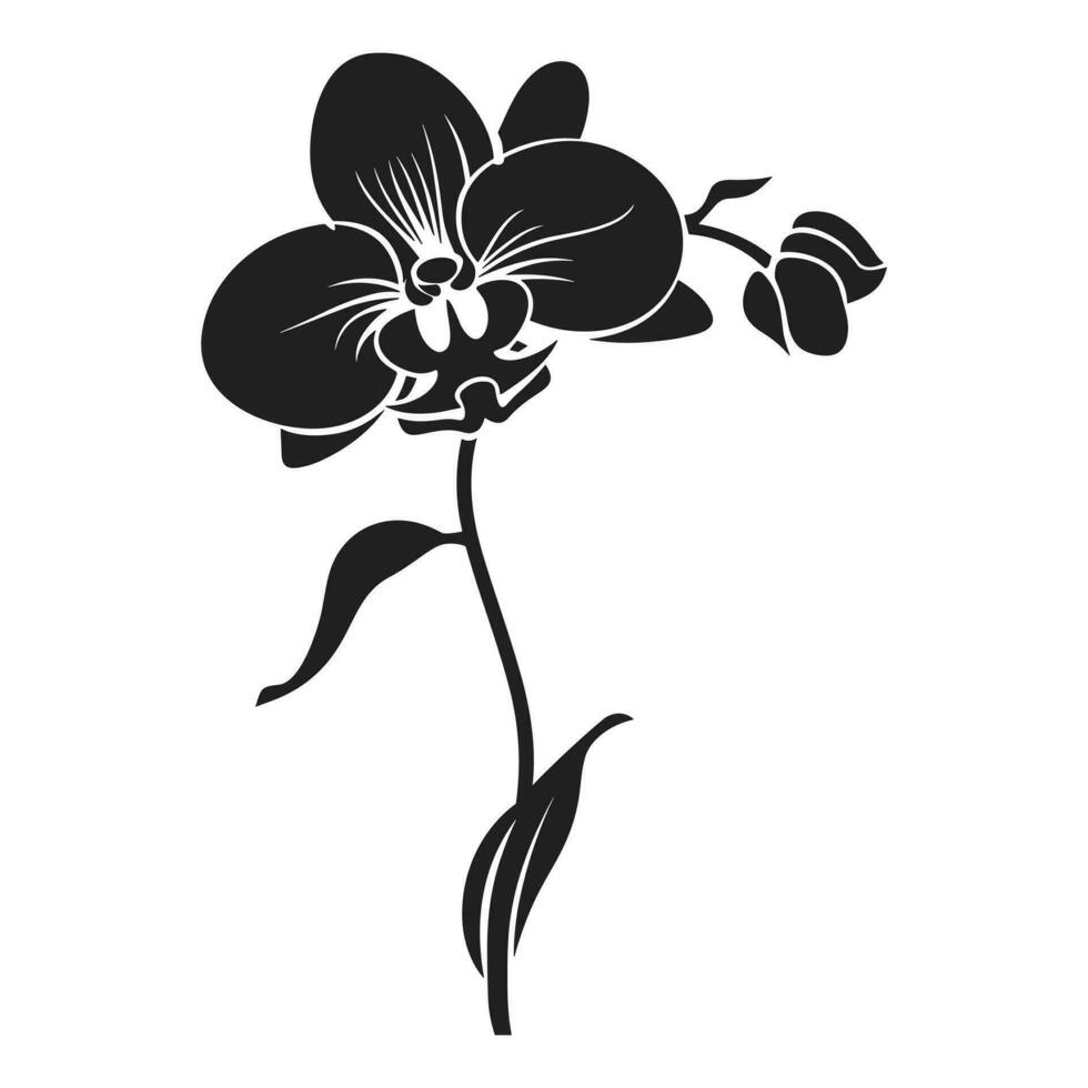 un orquídea flor vector silueta aislado en un blanco antecedentes