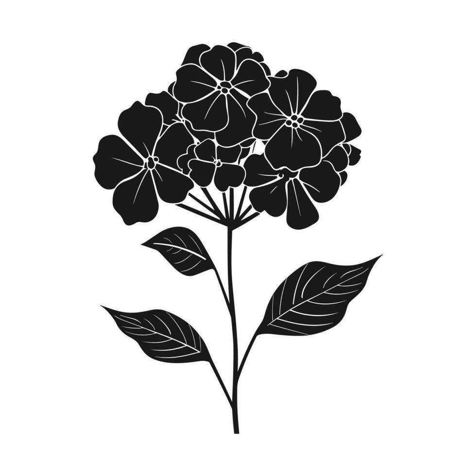 A Hydrangea Flower Vector Silhouette isolated on a white background