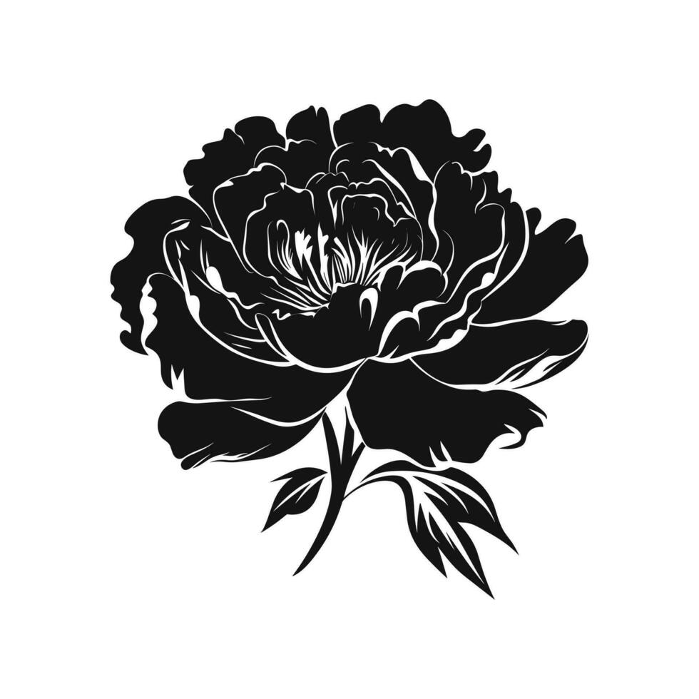 A Peony Flower Vector Silhouette isolated on a white background