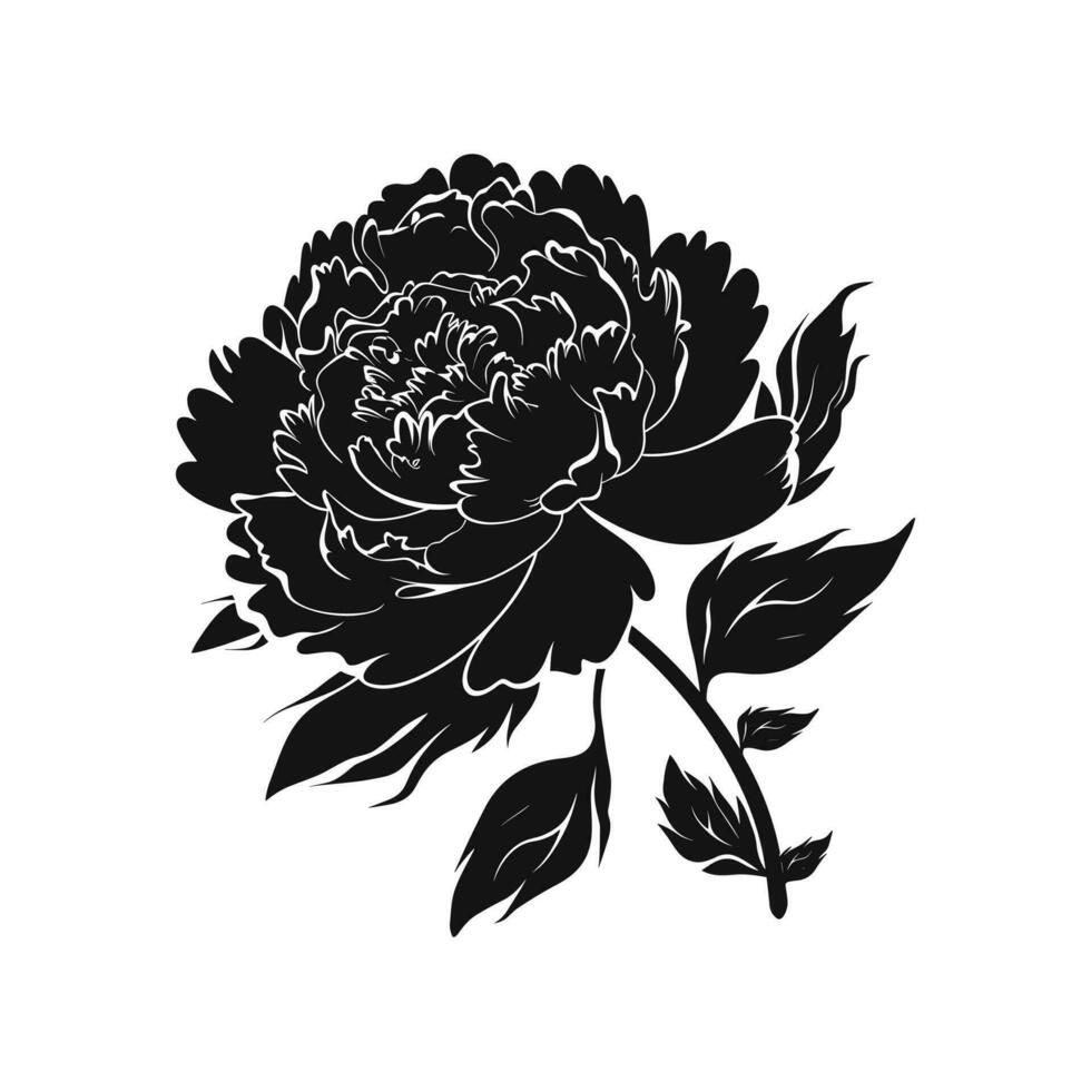 A Peony Flower Vector Silhouette isolated on a white background