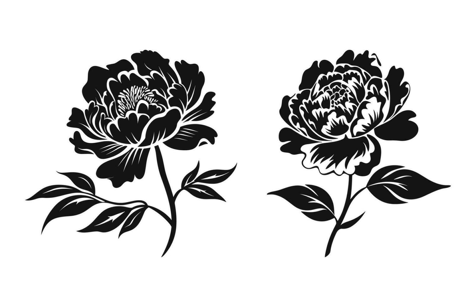 Peony Flower Silhouette Vector set, Peony Flowers Clipart Bundle