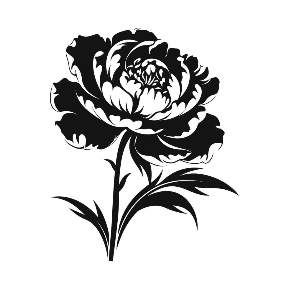 A Peony Flower Vector Silhouette isolated on a white background