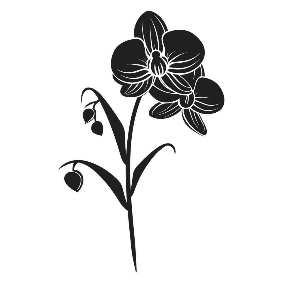 A Orchid Flower Vector Silhouette isolated on a white background