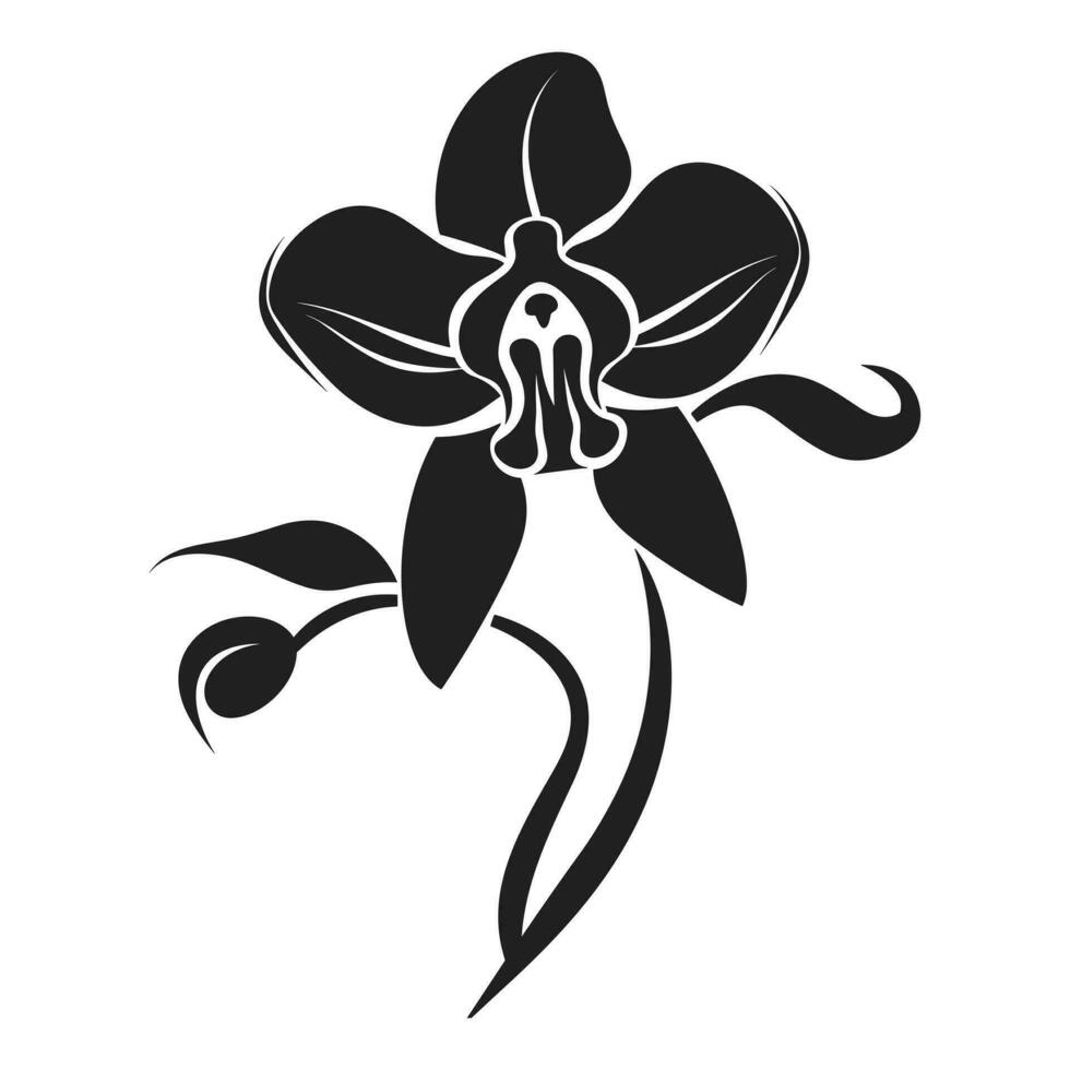 A Orchid Flower Vector Silhouette isolated on a white background