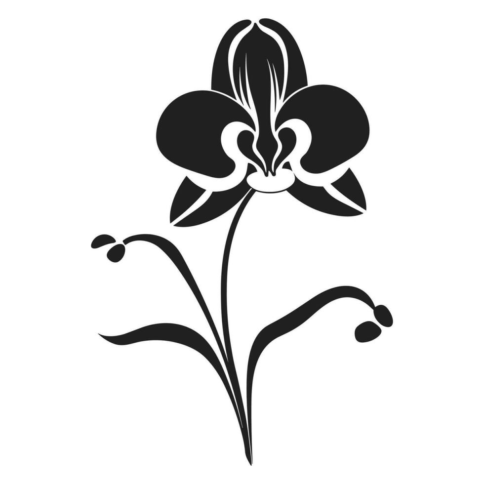 A Orchid Flower Vector Silhouette isolated on a white background