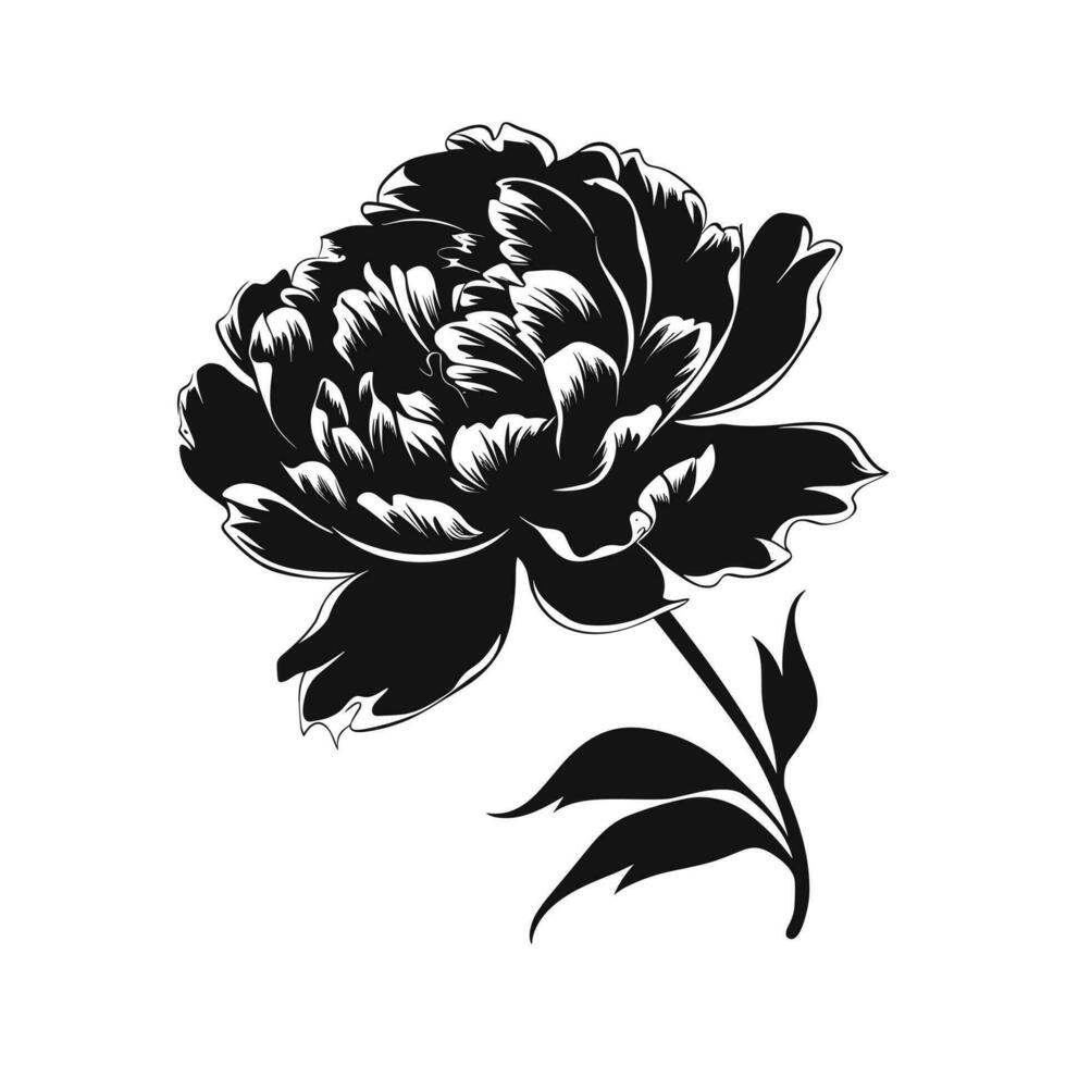 A Peony Flower Vector Silhouette isolated on a white background