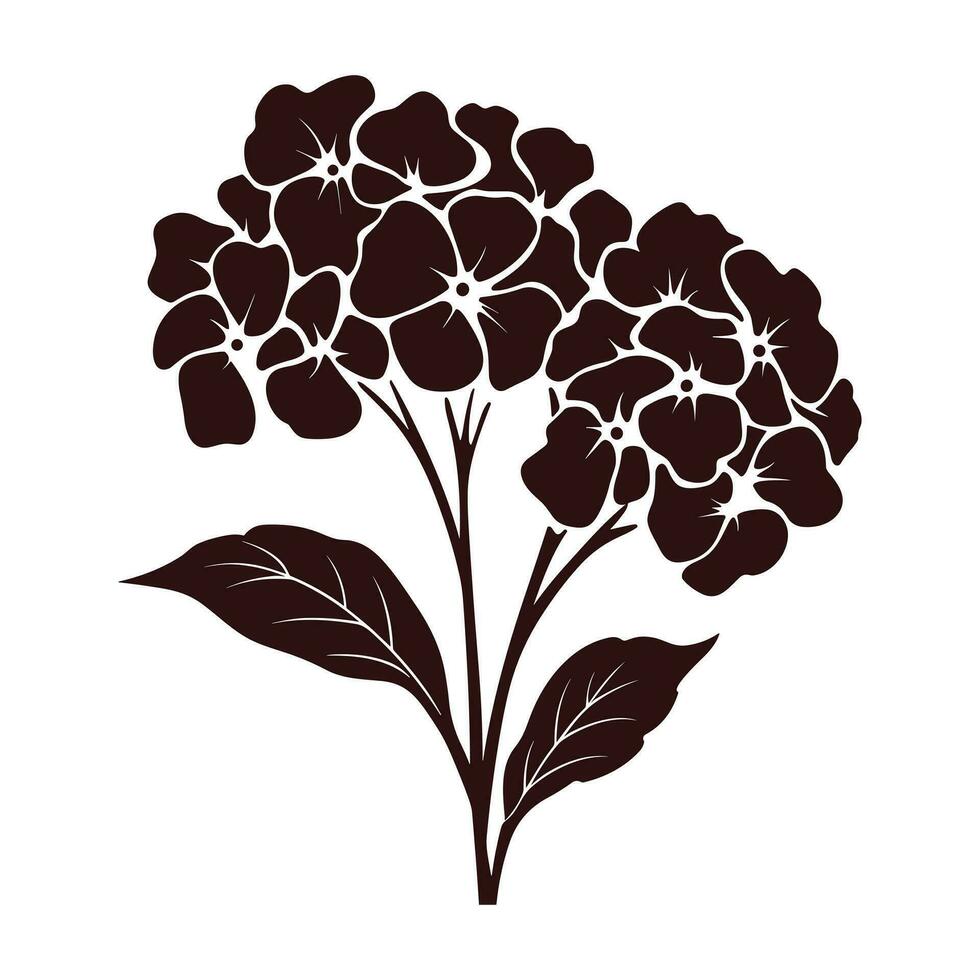 A Hydrangea Flower Vector Silhouette isolated on a white background