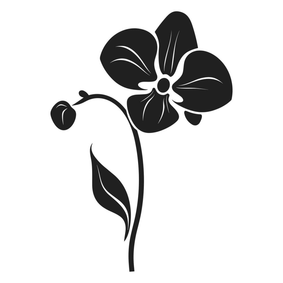 A Orchid Flower Vector Silhouette isolated on a white background