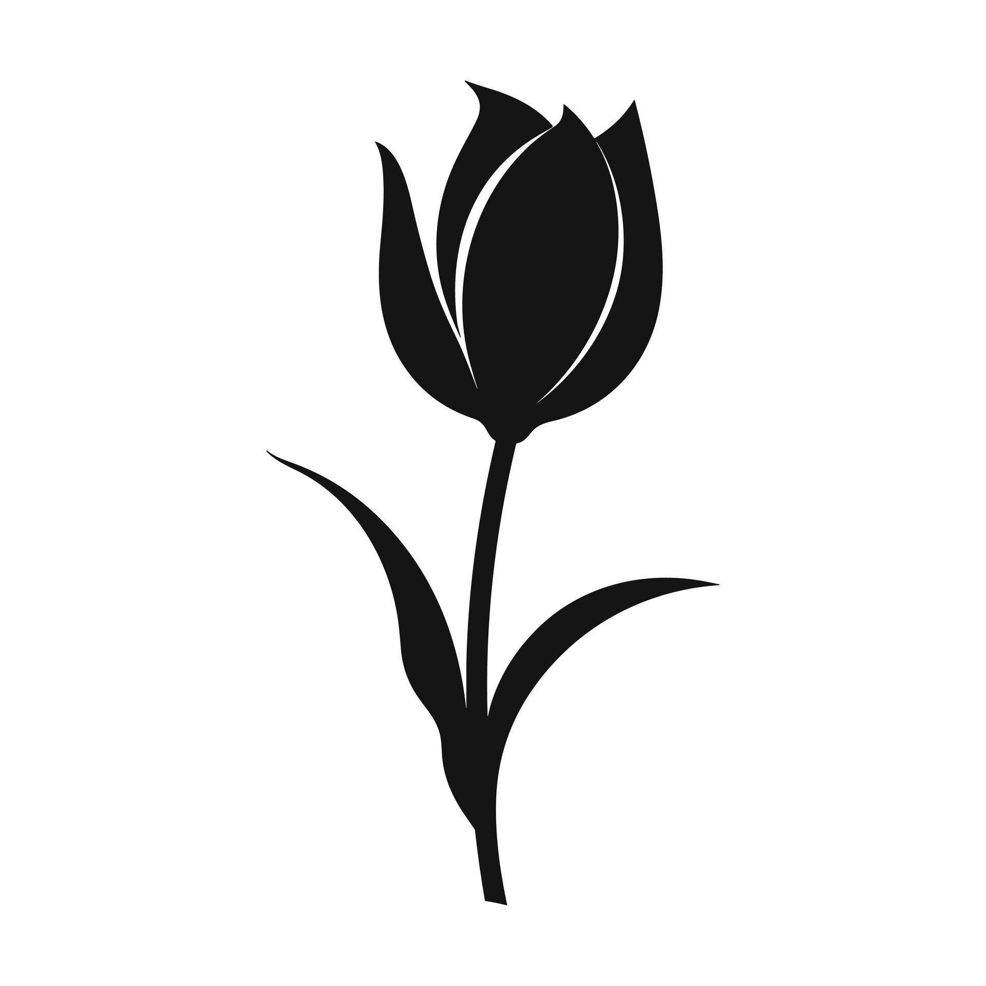 A Tulip Flower Vector Silhouette free 35506500 Vector Art at Vecteezy