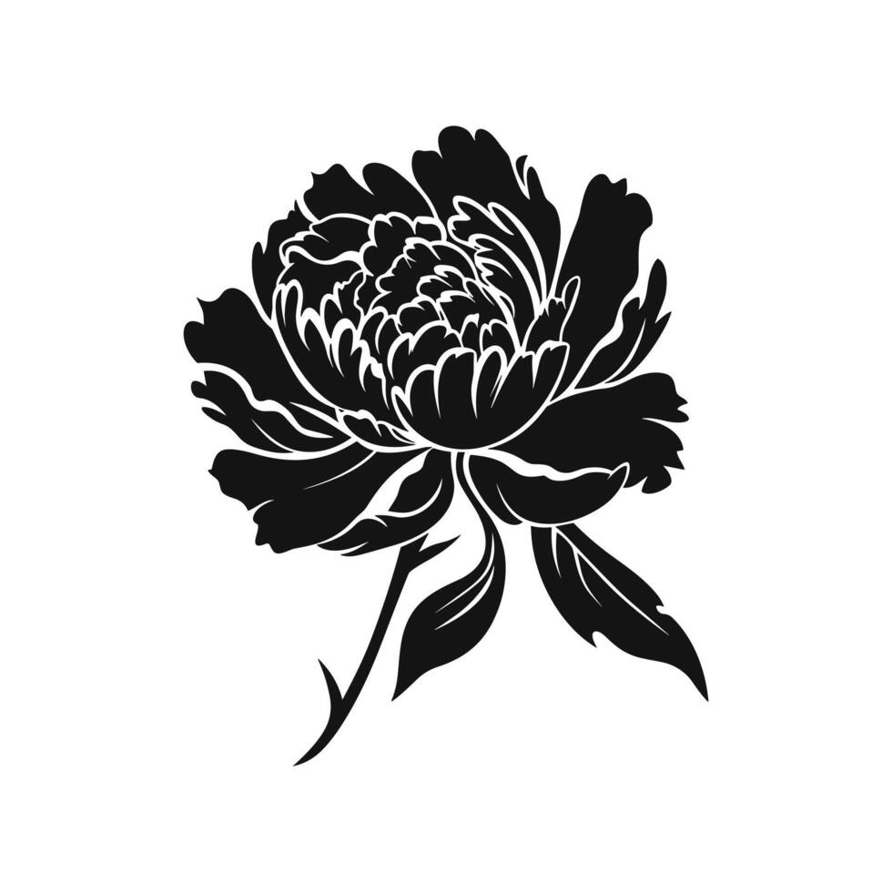 A Peony Flower Vector Silhouette isolated on a white background