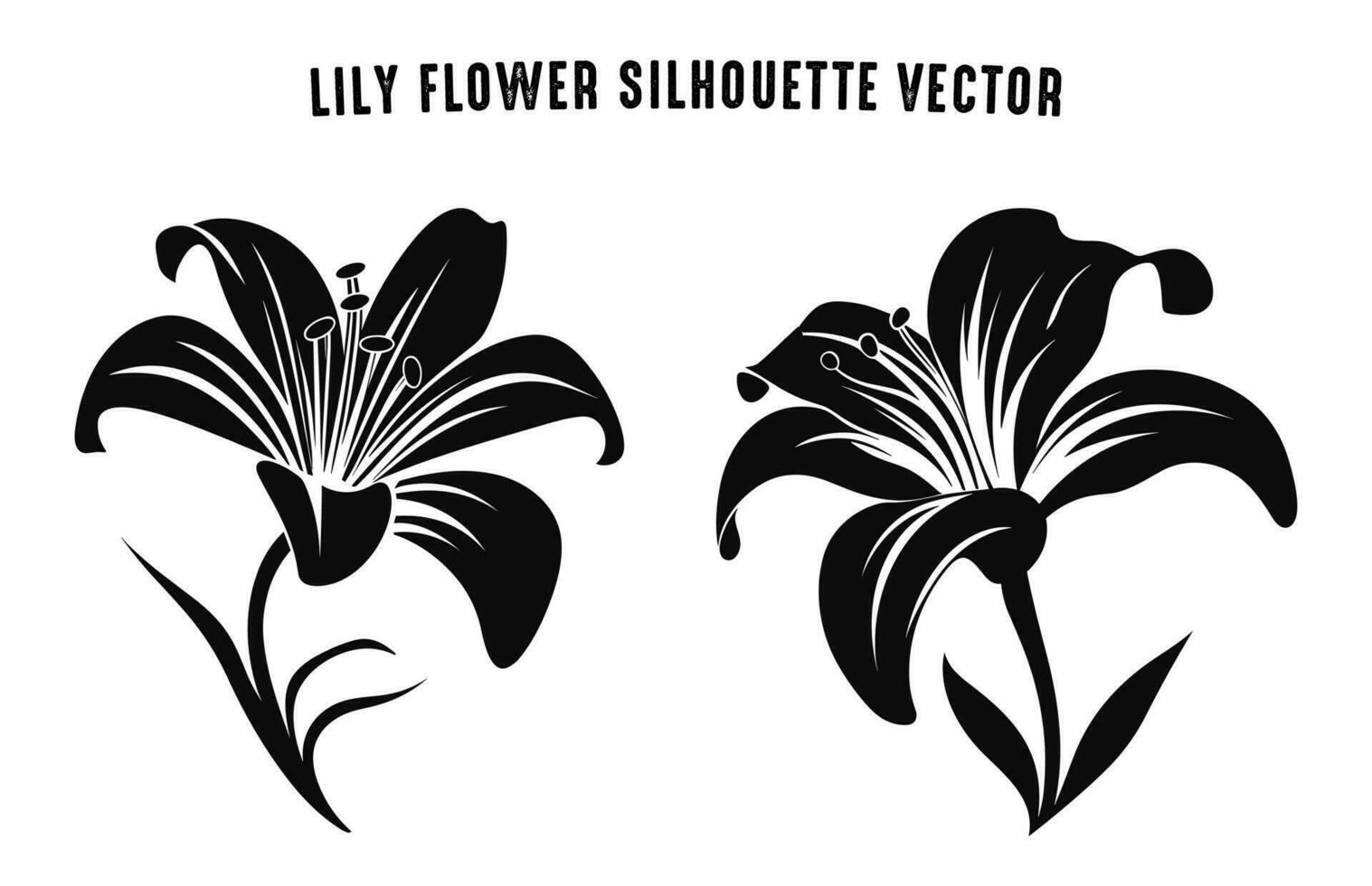 lirio flor silueta vector conjunto gratis