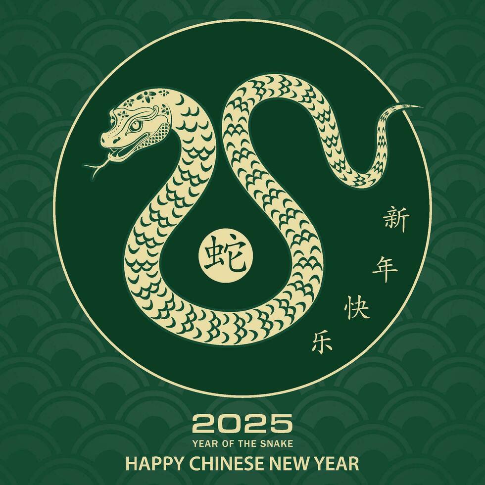 Happy Chinese new year 2025 Zodiac sign, year of the Snake vector