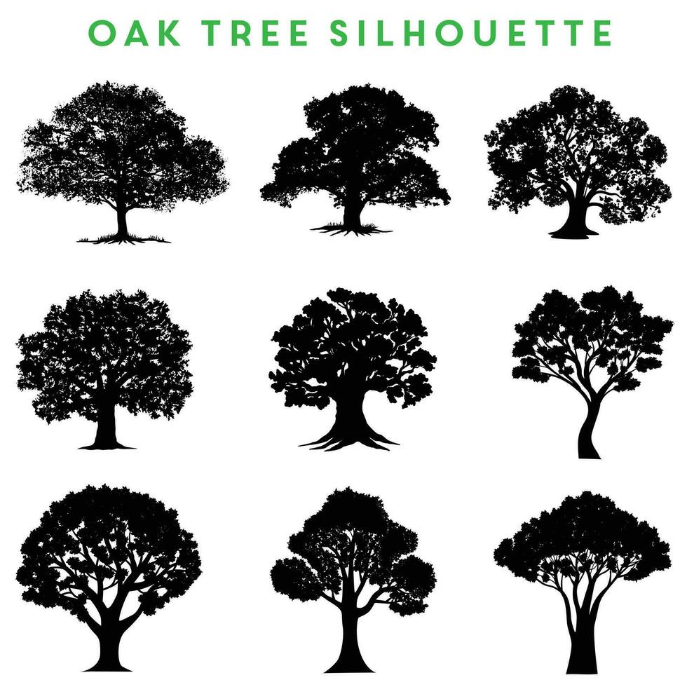 Oak Tree Silhouette. vector